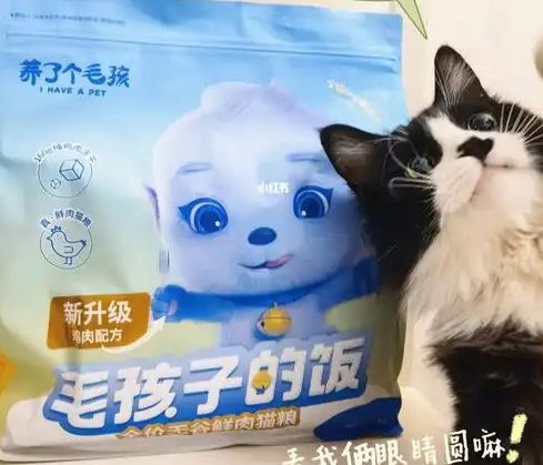 口粮！三只松鼠靠什么重返宠物食品赛道mg不朽情缘网站零食巨头盯上毛孩子(图3)