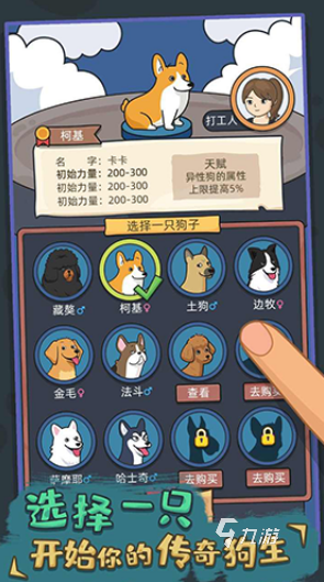 戏盘点 2025经典的小狗的游戏大全不朽情缘网站受欢迎的狗喜欢玩的十种游(图5)