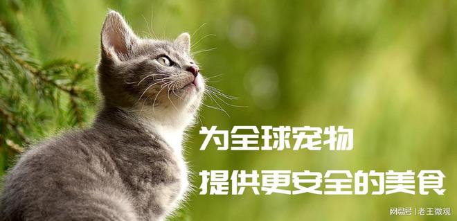 以爱之名共筑宠物生活新篇章不朽情缘正规网站帅克宠物：(图2)