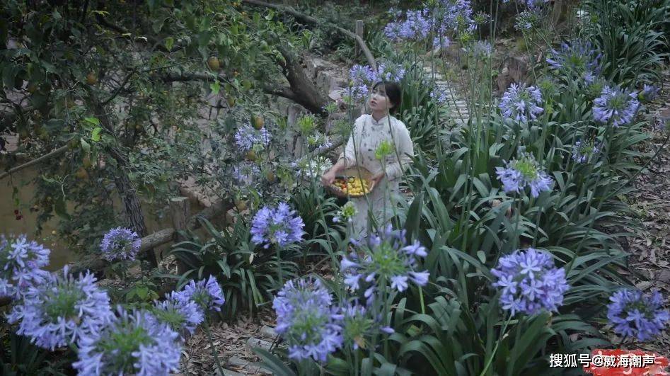 露面引期待有人却拿长相说事真该怼mg不朽情缘游戏试玩李子柒久违(图10)